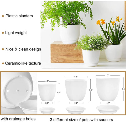 Bouqlife plastic pot 5.5-inch with saucer supports easy watering and neat display.