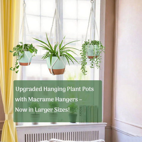 Bouqlife self watering 8in pot ready for indoor garden