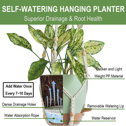 Bouqlife 20-inch macrame hanger showcasing compact display and accessible watering
