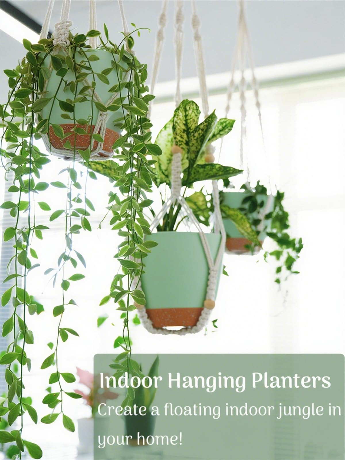 Bouqlife 26-inch macrame hanger displaying greenery with simplified plant care