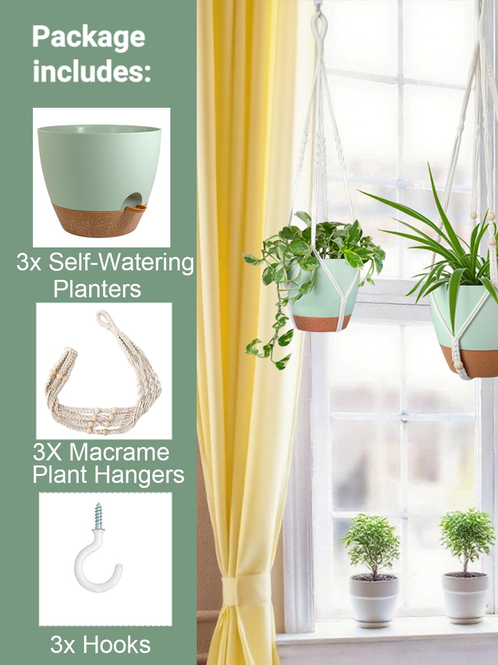 Bouqlife 6-inch self-watering pot promotes healthy roots with simple care
