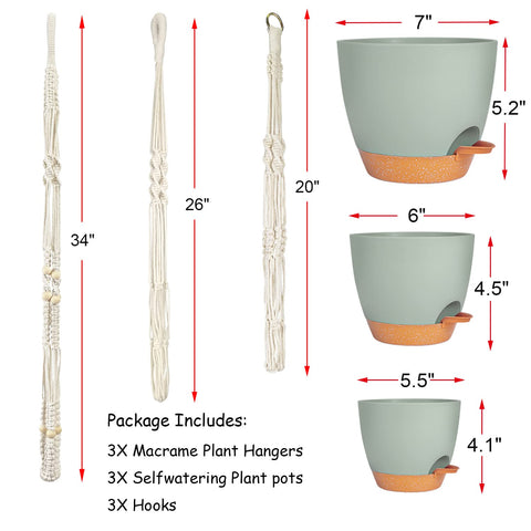 Bouqlife 7-inch self-watering pot supports small plants and easy maintenance