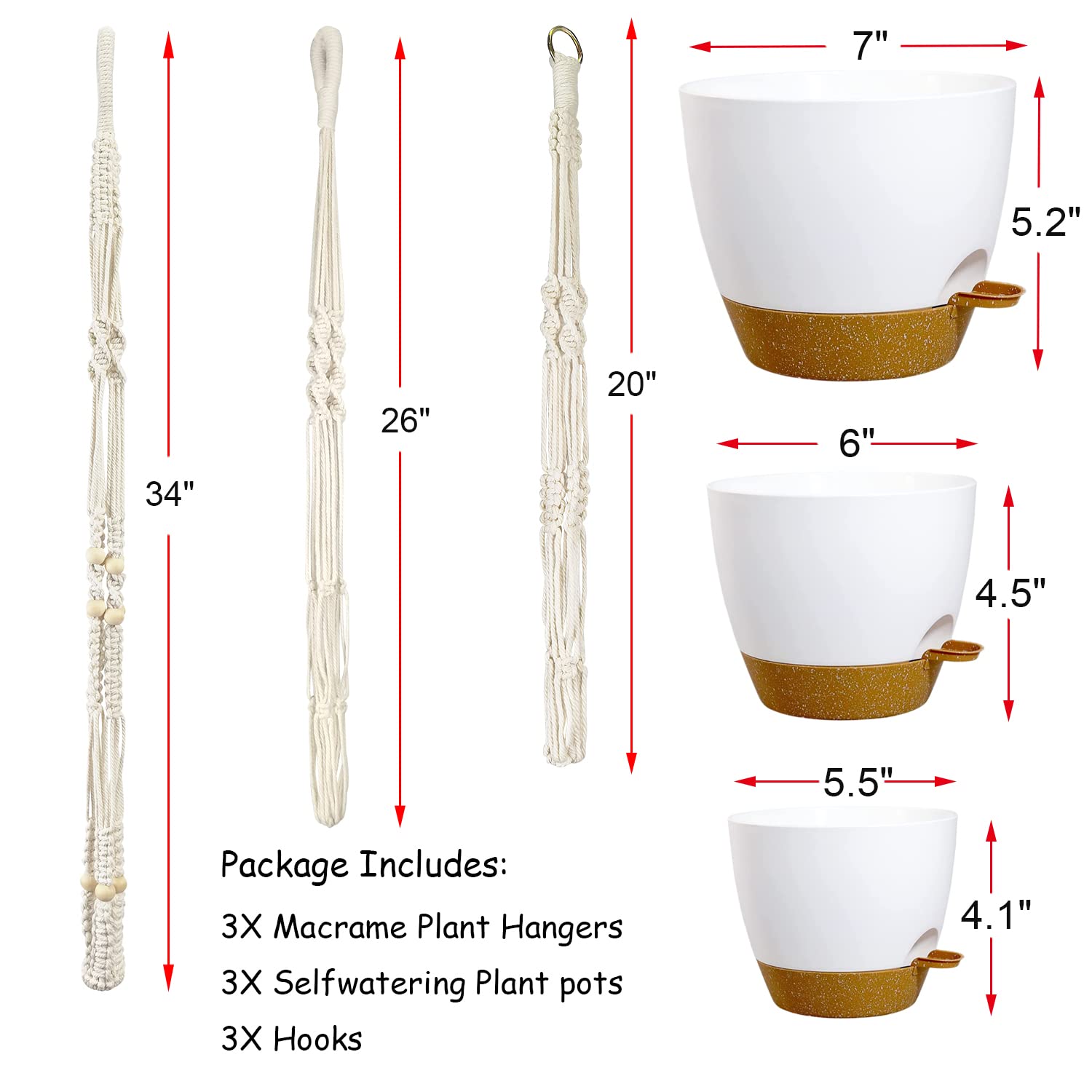 Bouqlife self-watering pot 6-inch supports compact herbs and decorative blooms.