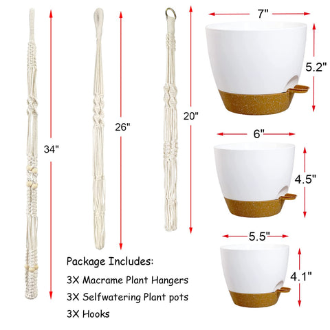 Bouqlife self-watering pot 6-inch supports compact herbs and decorative blooms.