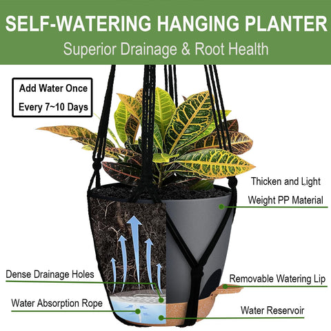 Bouqlife self-watering 7-inch pot fits compact plant displays