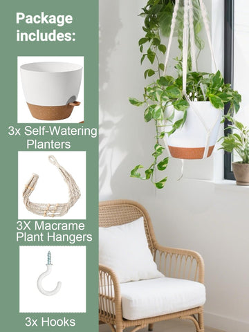 Bouqlife 8-inch self-watering pot highlighting drainage and low-maintenance watering.
