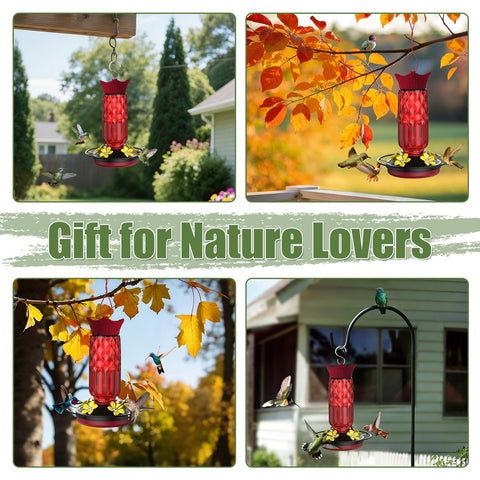 Bourid hummingbird feeder adds color and charm to outdoor spaces.