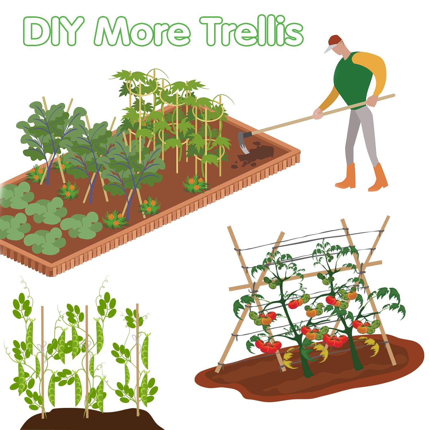 BOVITRO natural bamboo stakes deliver reliable, eco-friendly garden organization.