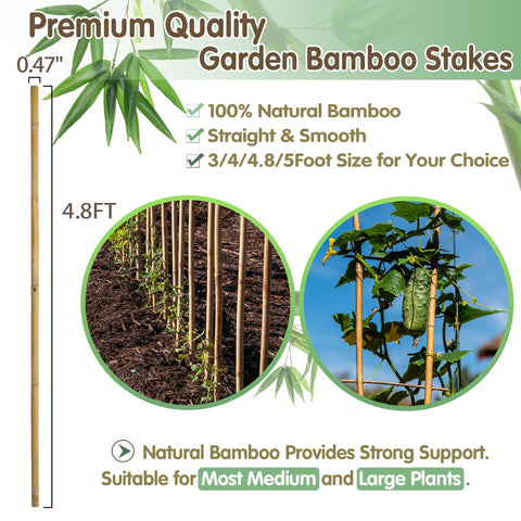 BOVITRO bamboo stakes for vegetables guide beans and cucumbers toward sunlight.
