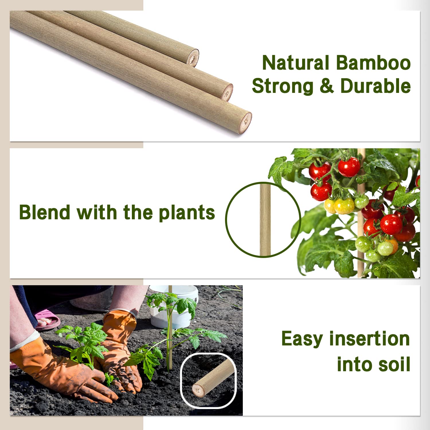 BOVITRO vegetable stake in a pot to guide vertical growth