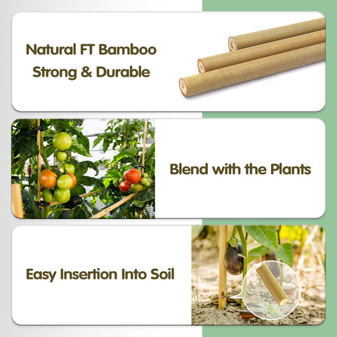 BOVITRO bamboo stake closeup showing natural texture and smooth finish.