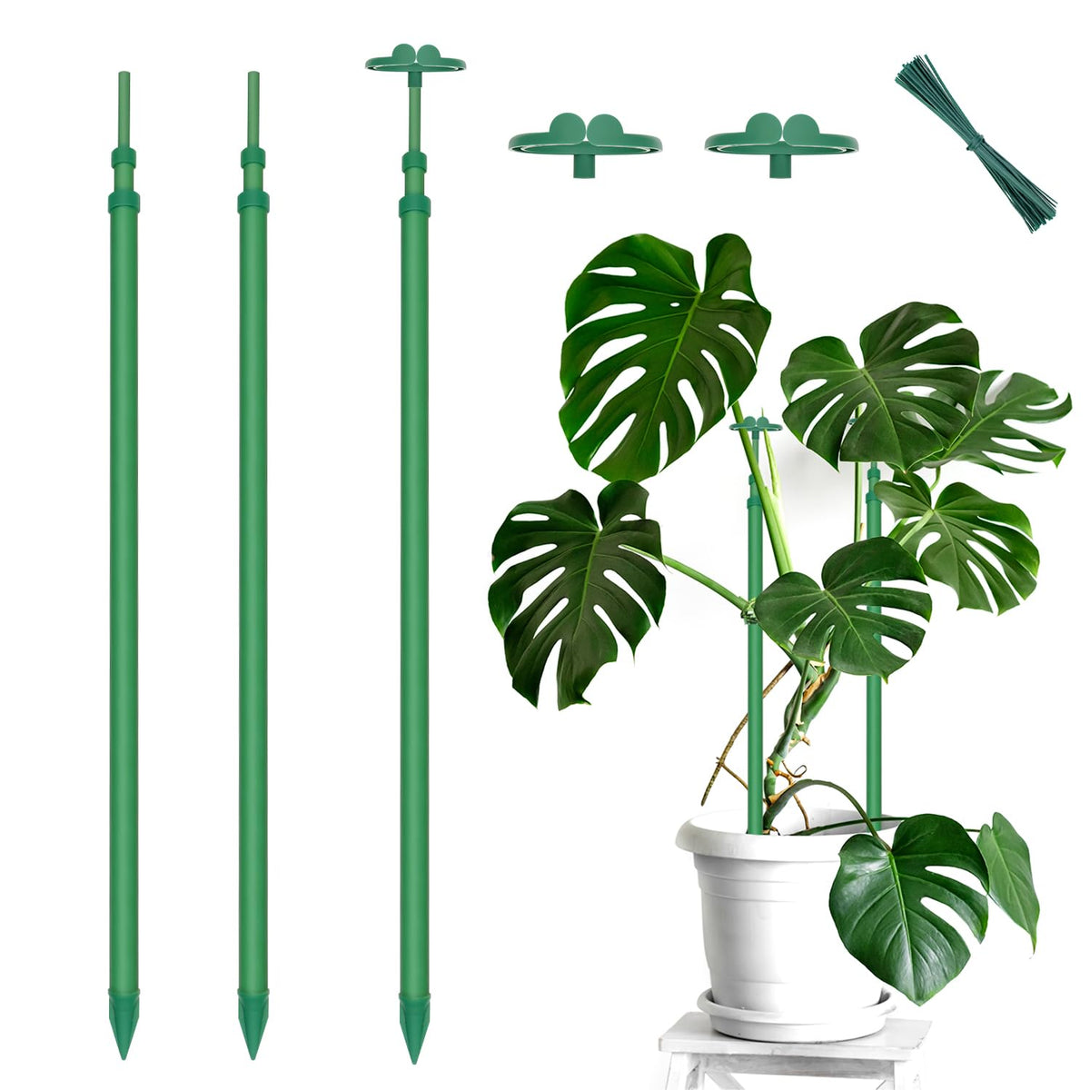 BOVITRO extendable plant stake shown at full length supporting a tall plant.