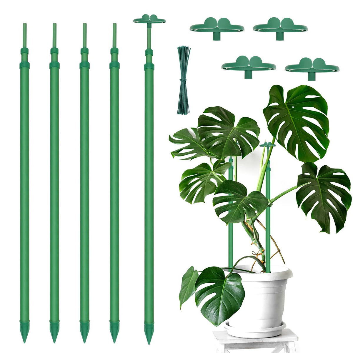 BOVITRO extendable stake with top clips for secure plant support