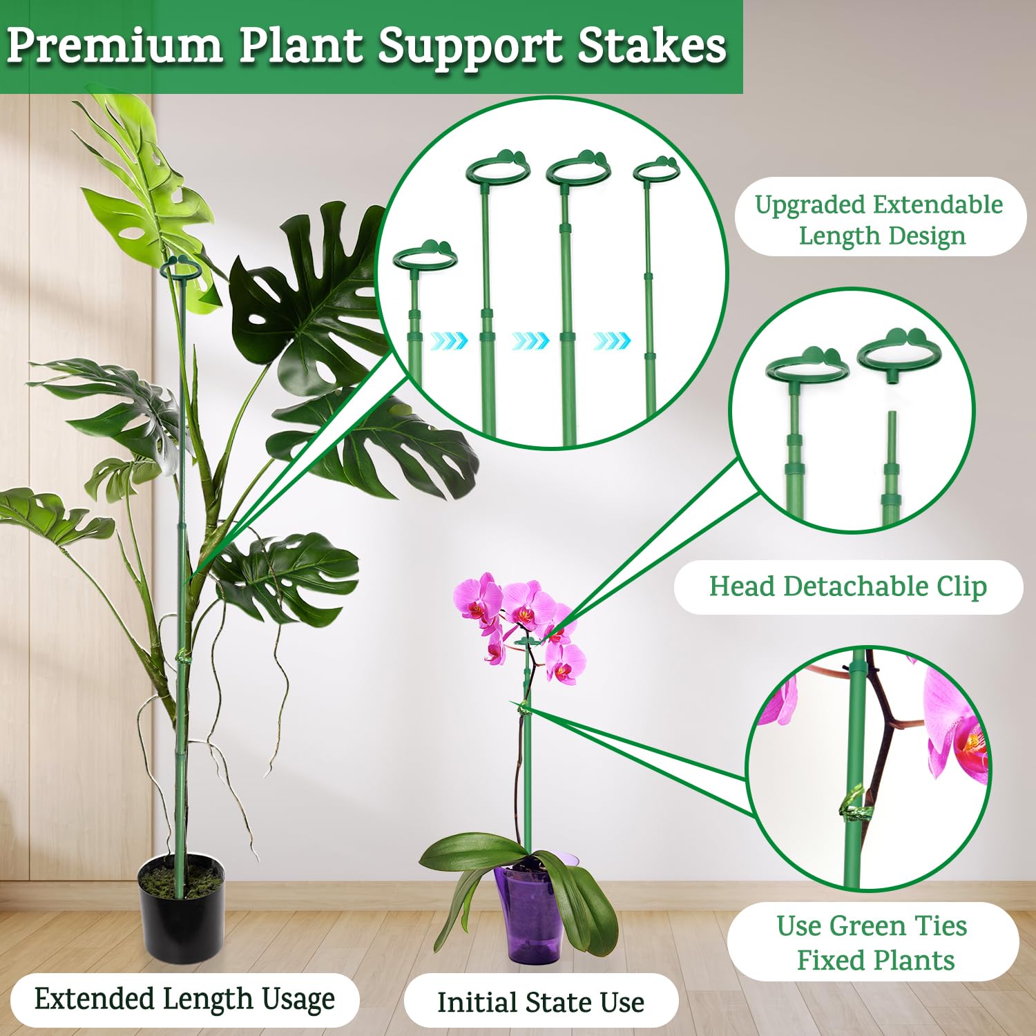 BOVITRO stake used with vegetables and orchids for upright growth