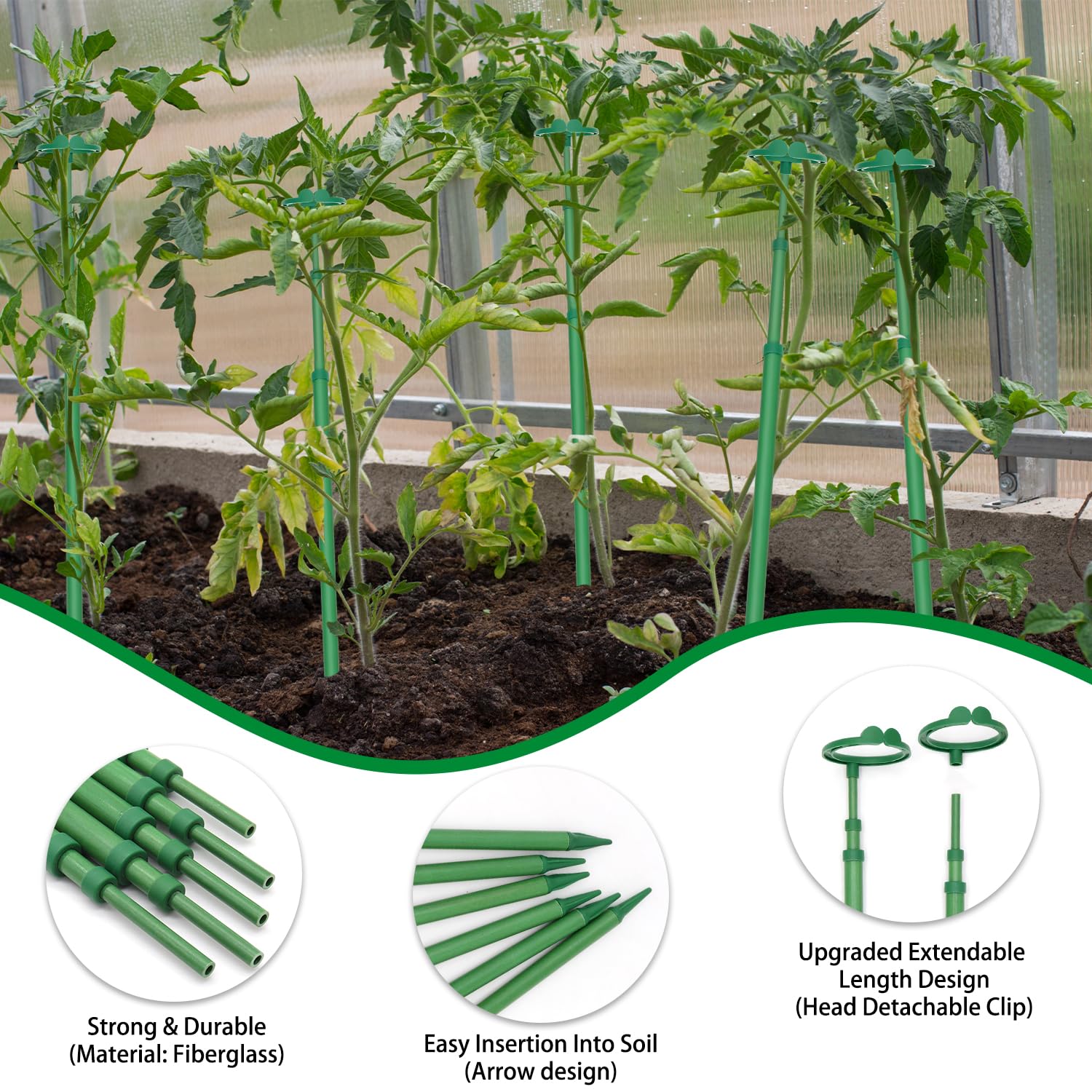 BOVITRO indoor orchid support with stake and clips setup.