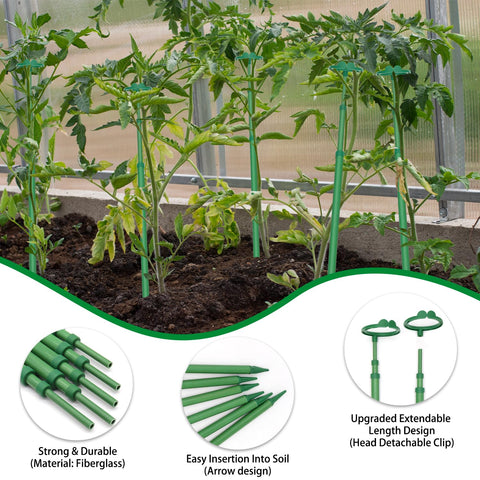 BOVITRO indoor orchid support with stake and clips setup.