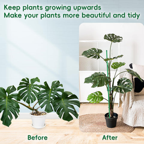 BOVITRO indoor and outdoor garden usage with stakes