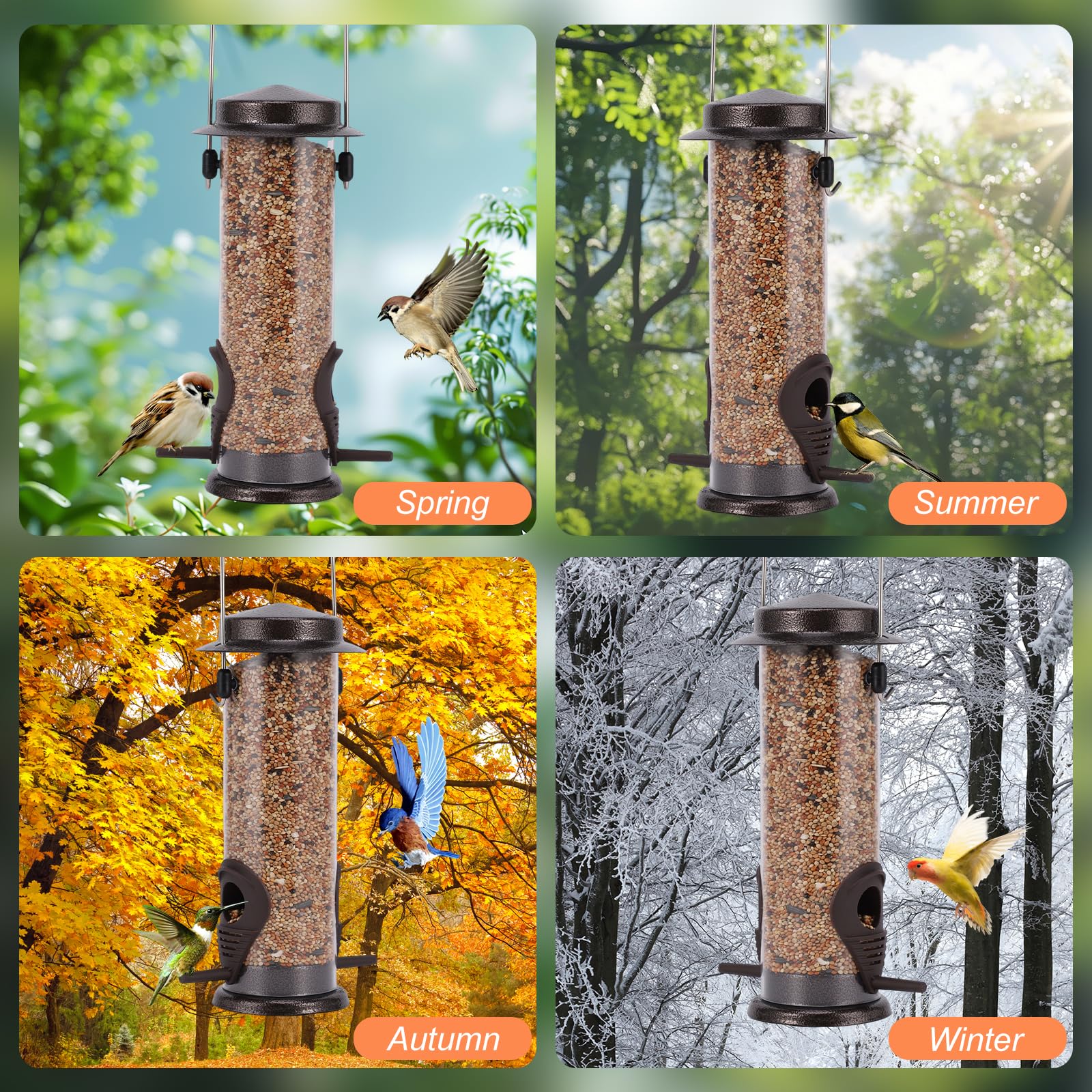 BOWEITI included bird food makes setup ready-to-watch from first hang.