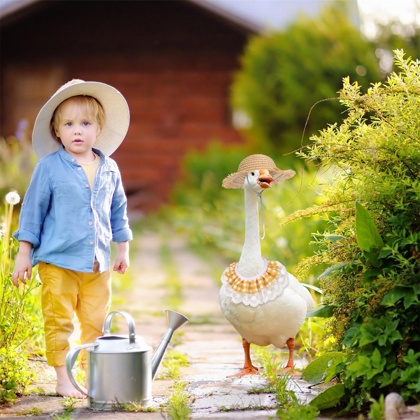 BOXOB pet-friendly design simplifies dressing cats and dogs.