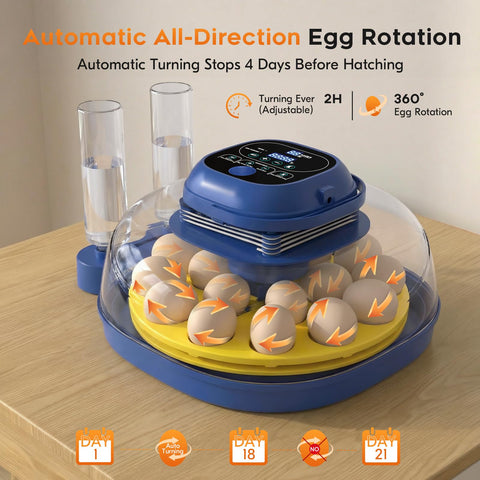BOXTREN 360-view lid monitoring provides full visibility from start to hatch day.