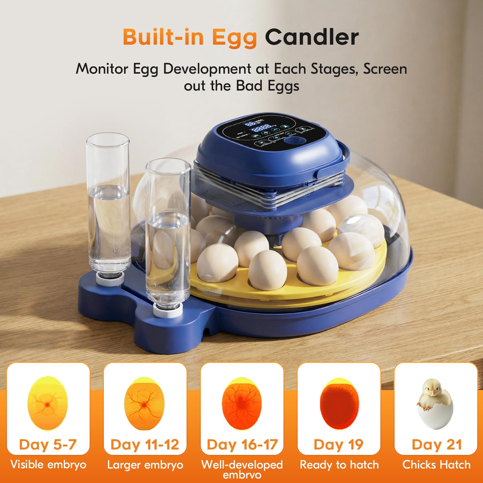 BOXTREN adjustable trays removable simplify reconfiguring for different egg sizes.