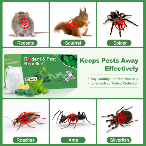 BOZFLY mint scented repellent packaging for easy placement