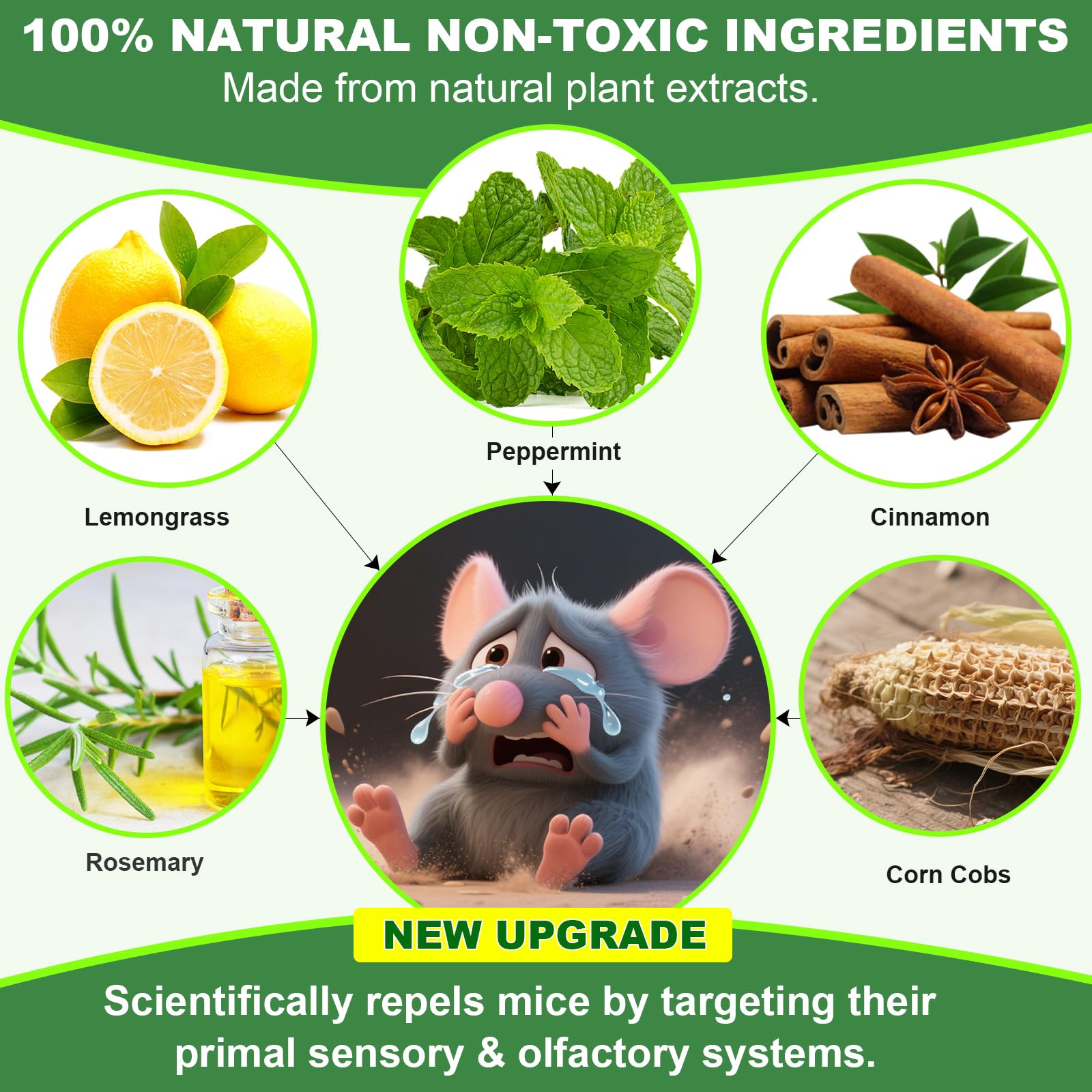 BOZFLY peppermint oil balls release scent to deter rodents indoors