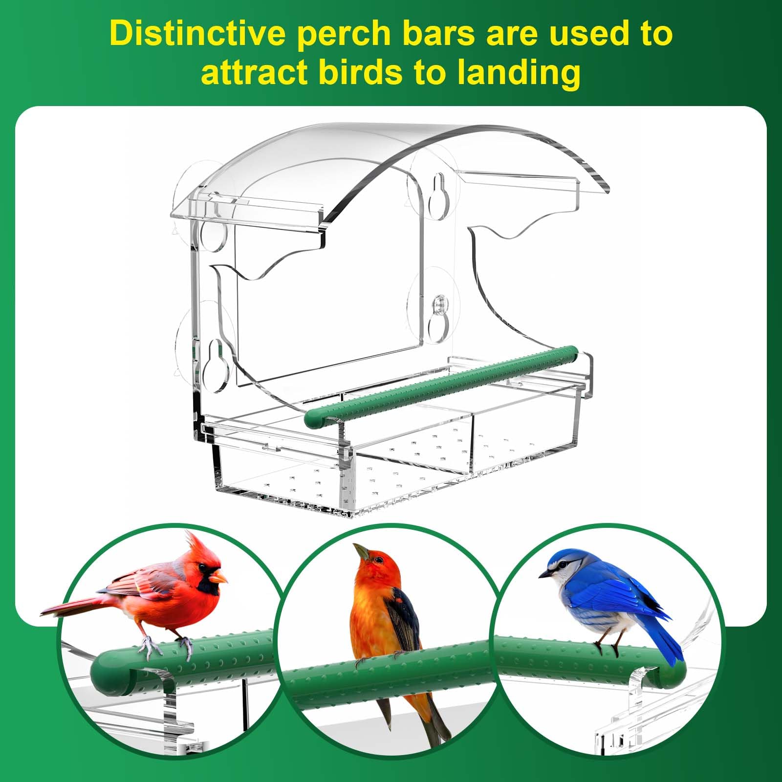 BPYOT transparent acrylic feeder on window delivering close-up bird watching