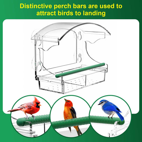 BPYOT transparent acrylic feeder on window delivering close-up bird watching