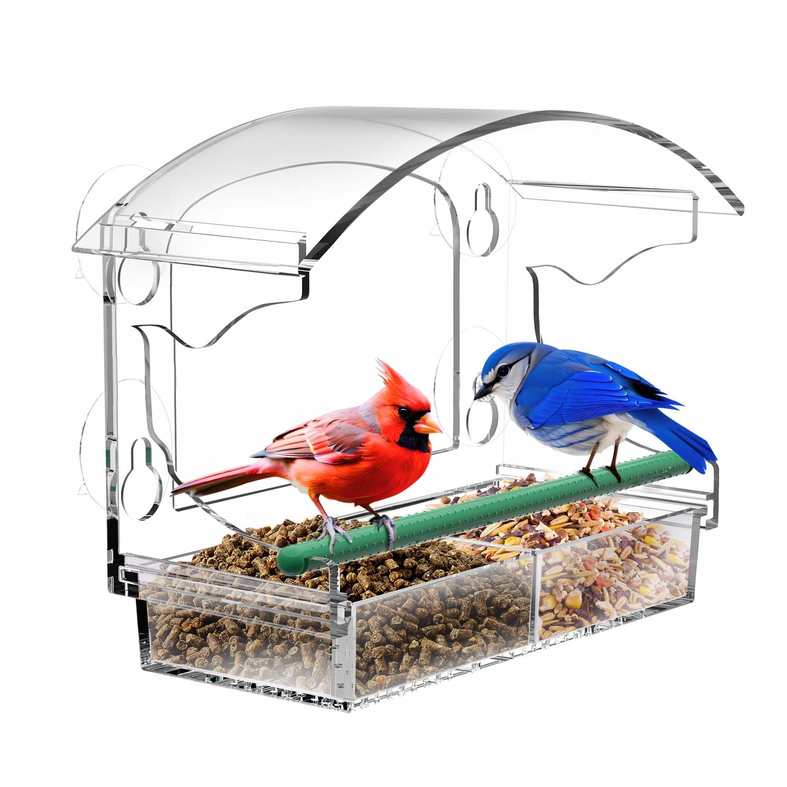 BPYOT clear-window bird feeder with strong suction cups for reliable outdoor viewing