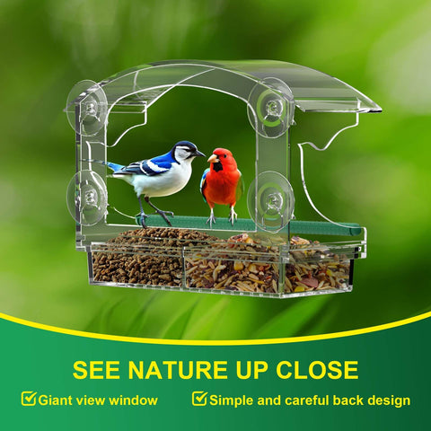 BPYOT family-friendly window feeder ideal for kids, cats, and seniors