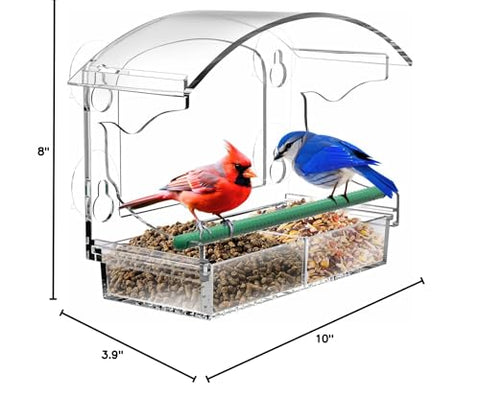 BPYOT immersive bird viewing experience from indoors with a crystal-clear feed opening