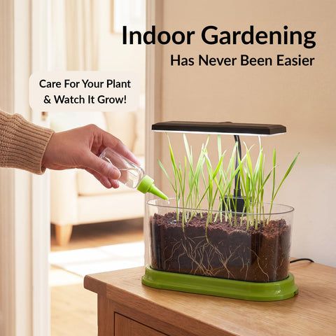 Brainiac Club compact indoor garden fits desks, shelves, and dorm rooms for beginners.