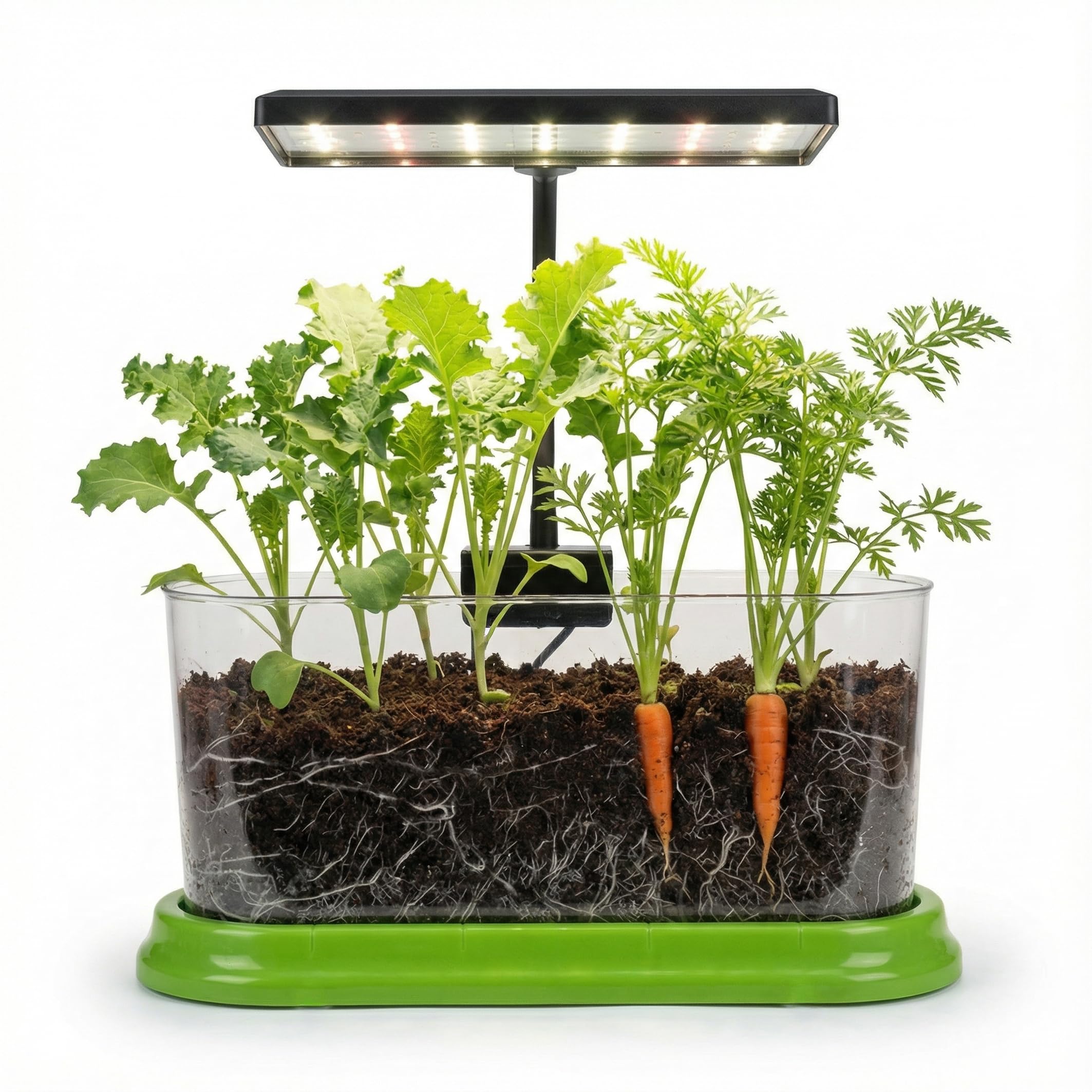 Brainiac Club plant growing kit with LED grow light offers a compact indoor garden for year‑round herbs.
