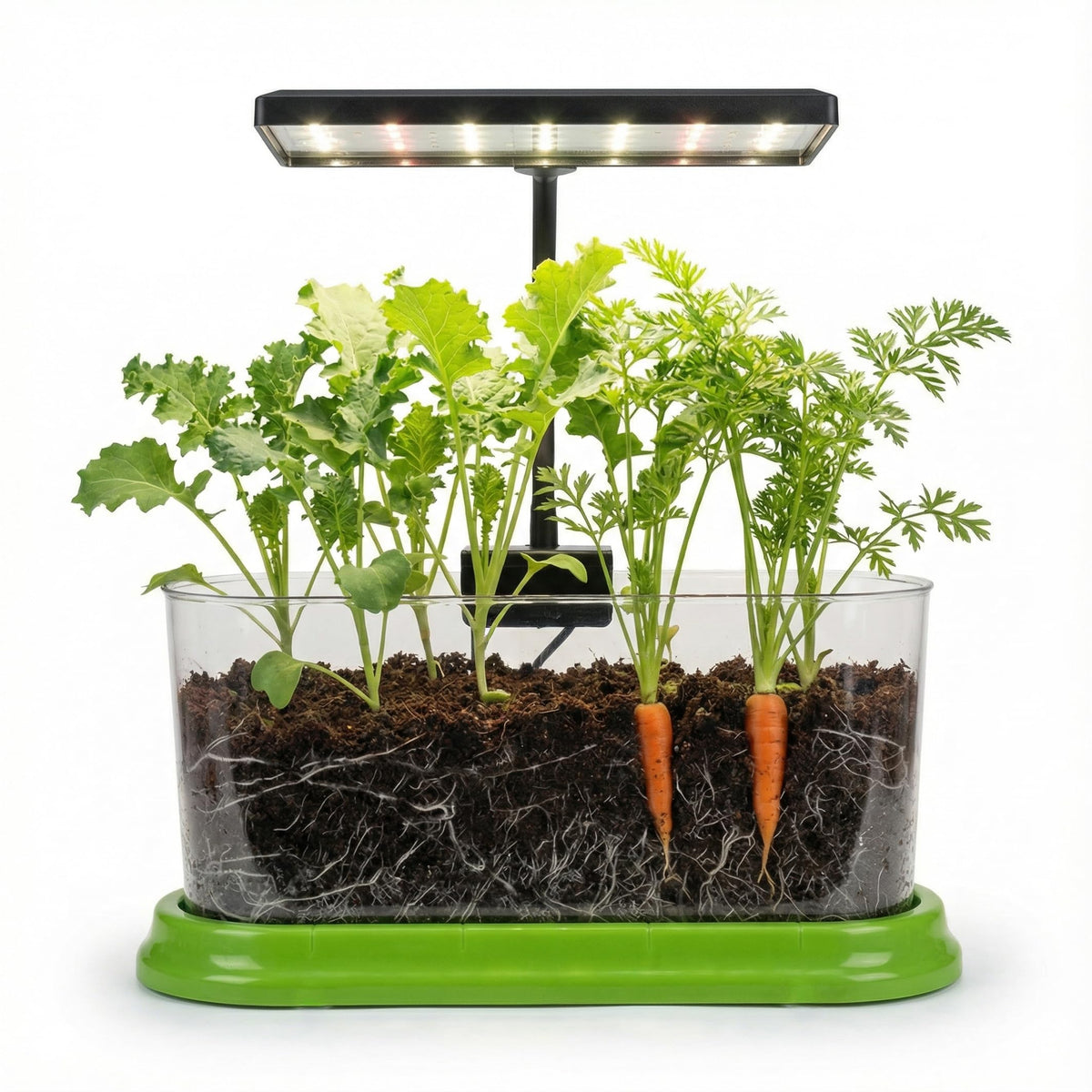 Brainiac Club plant growing kit with LED grow light offers a compact indoor garden for year‑round herbs.