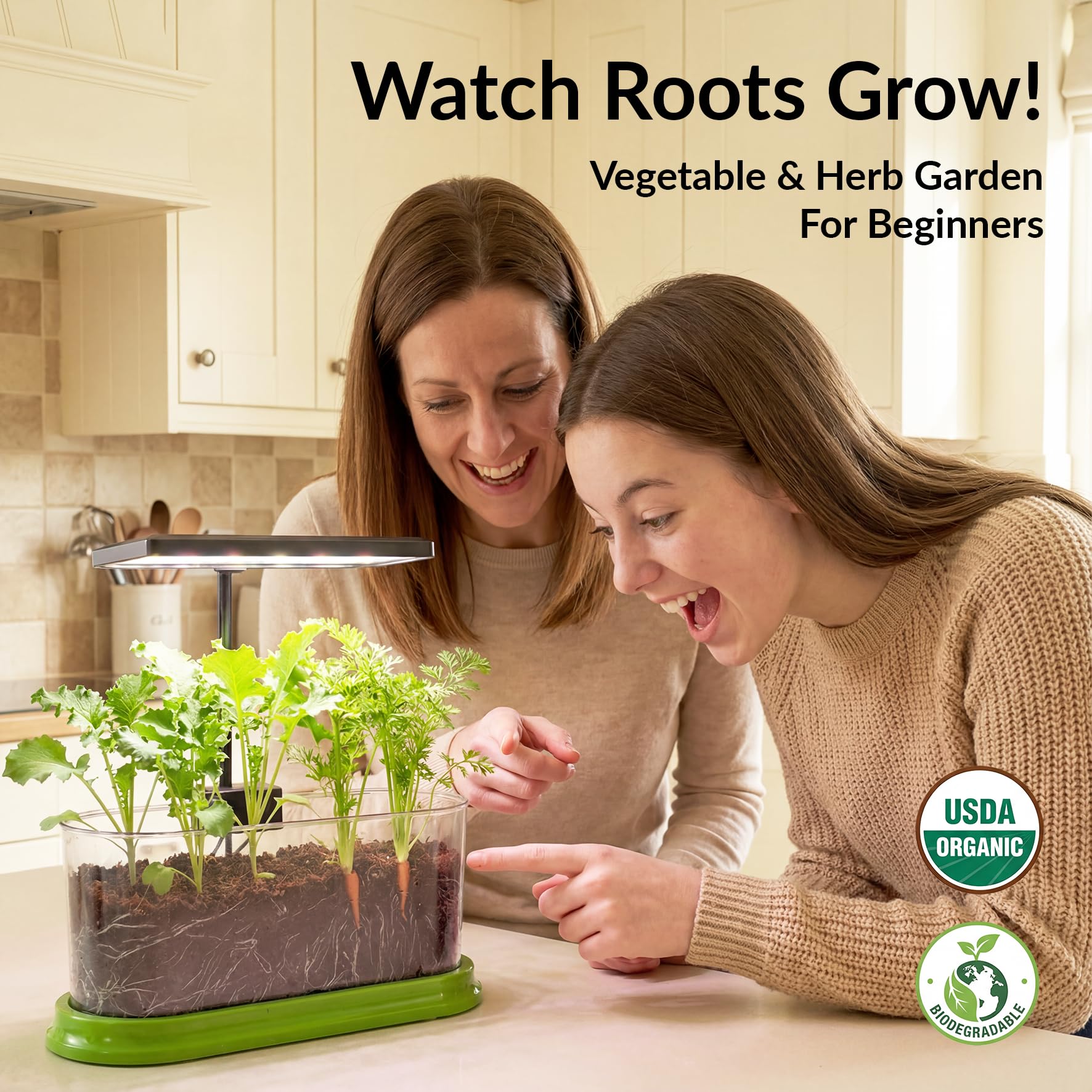 Brainiac Club root viewing window shows root growth for seed germination basics.