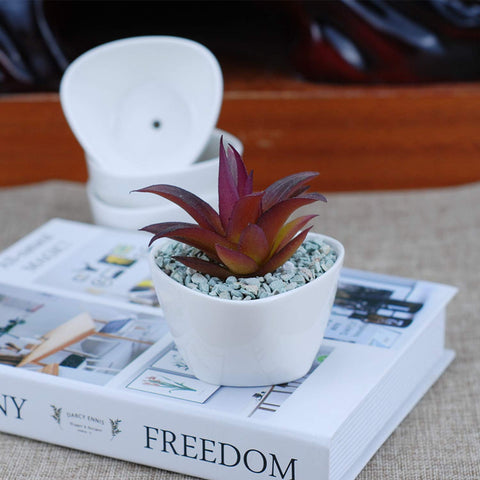 Brajttt small pots perfect for cactus and herbs in tight spaces.