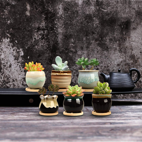 Brajttt mini planter set adds color on balcony, kitchen, or office surfaces.
