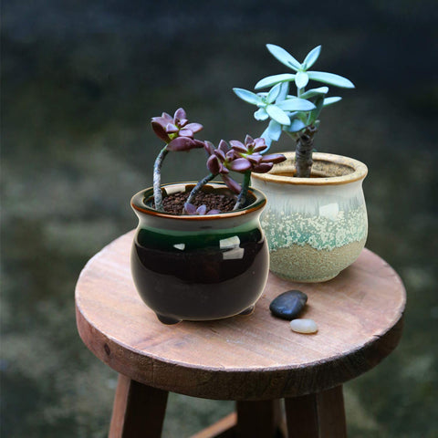 Brajttt 2.1-inch ceramic pots in a six-pack, ready for gift-ready display.