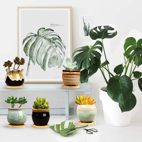 Brajttt succulent pot designed for desks and windowsills with a compact form.