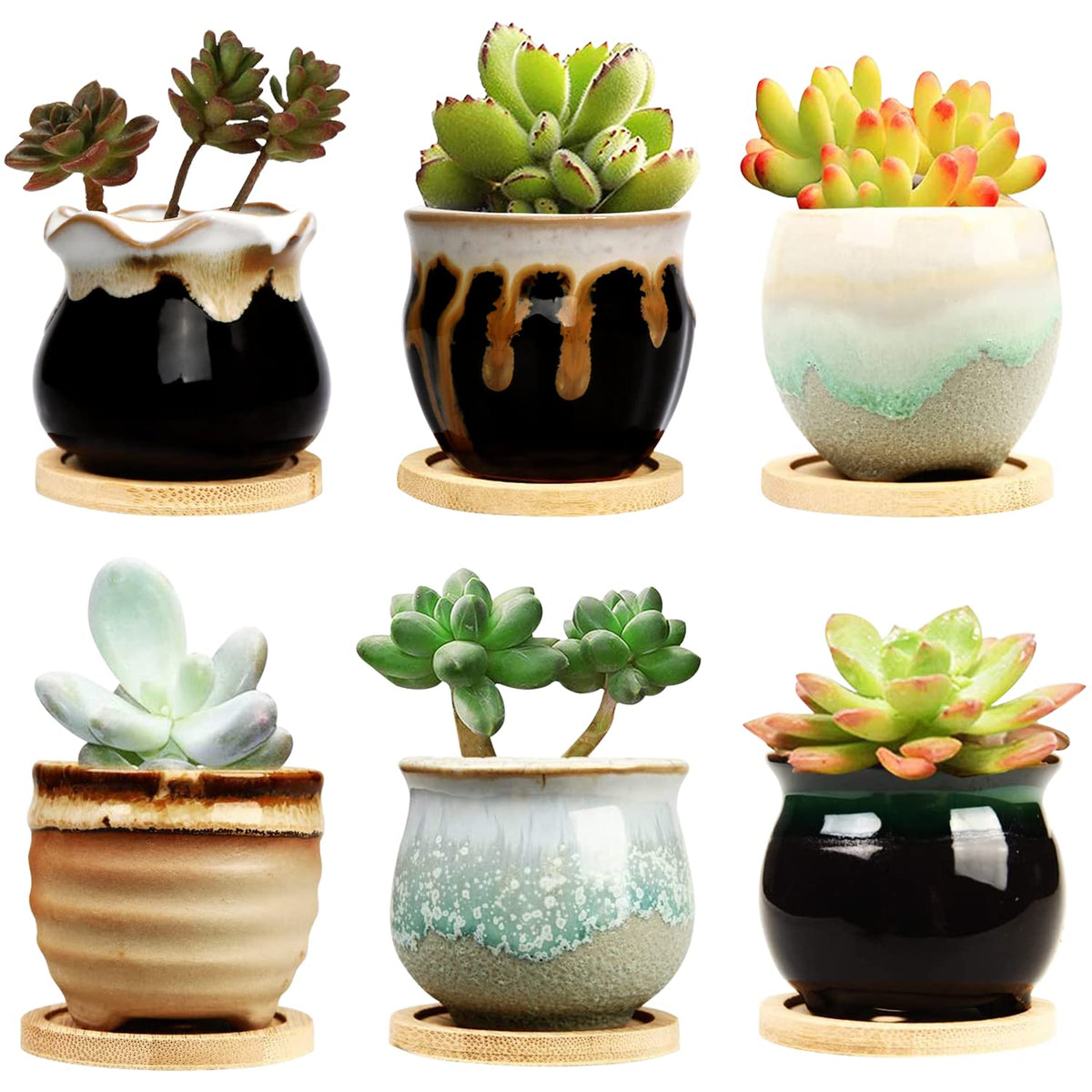 Brajttt succulent pot with drainage and flowing glaze, ideal for six-pack display.