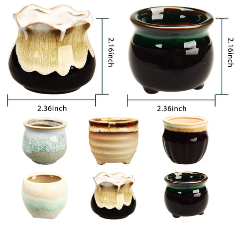 Brajttt 2.1-inch planter with stand base showcases compact elegance on shelves.