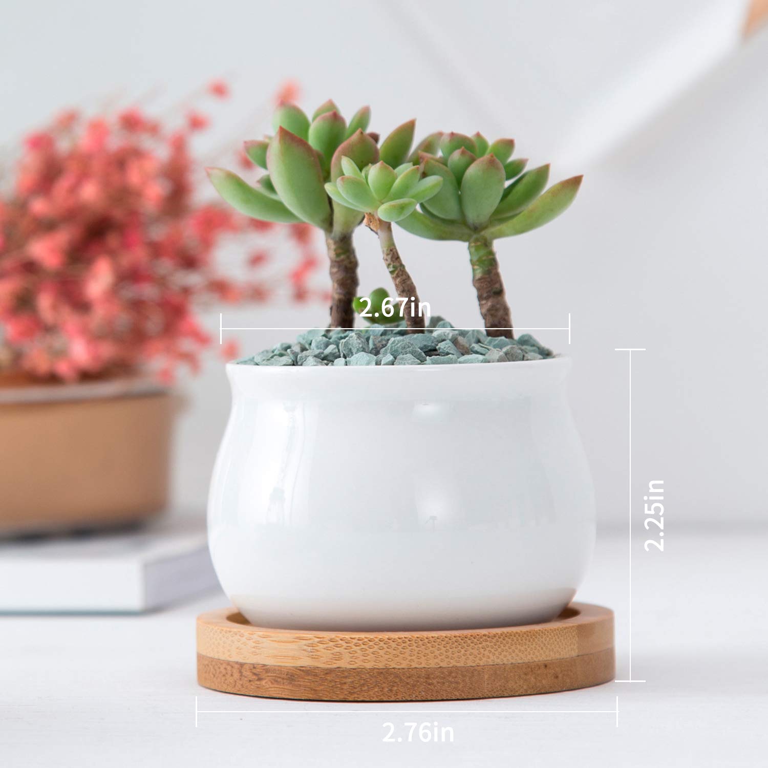 Brajttt ceramic planters on a desk show charm and drip protection.