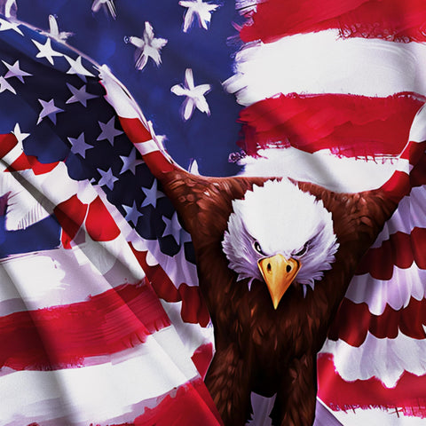 BRAVITA Eagle Flag 5x3ft package includes two brass eyelets