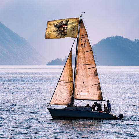 BRAVITA 110den polyester flag holds up in light breezes.