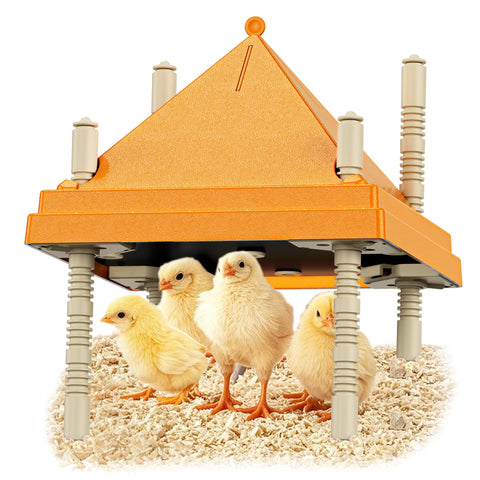 BREDASINX brooder plate with triangular cone design deters perching and keeps the brooder cleaner