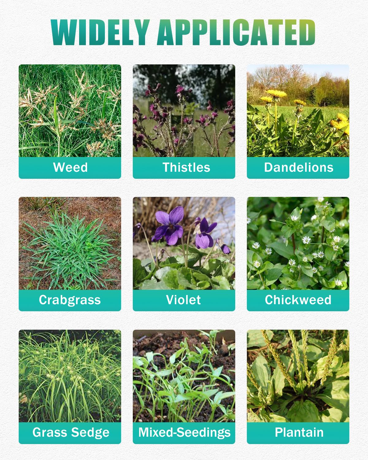 Breeze Touch crabgrass removal in garden demonstrates versatile soil compatibility.