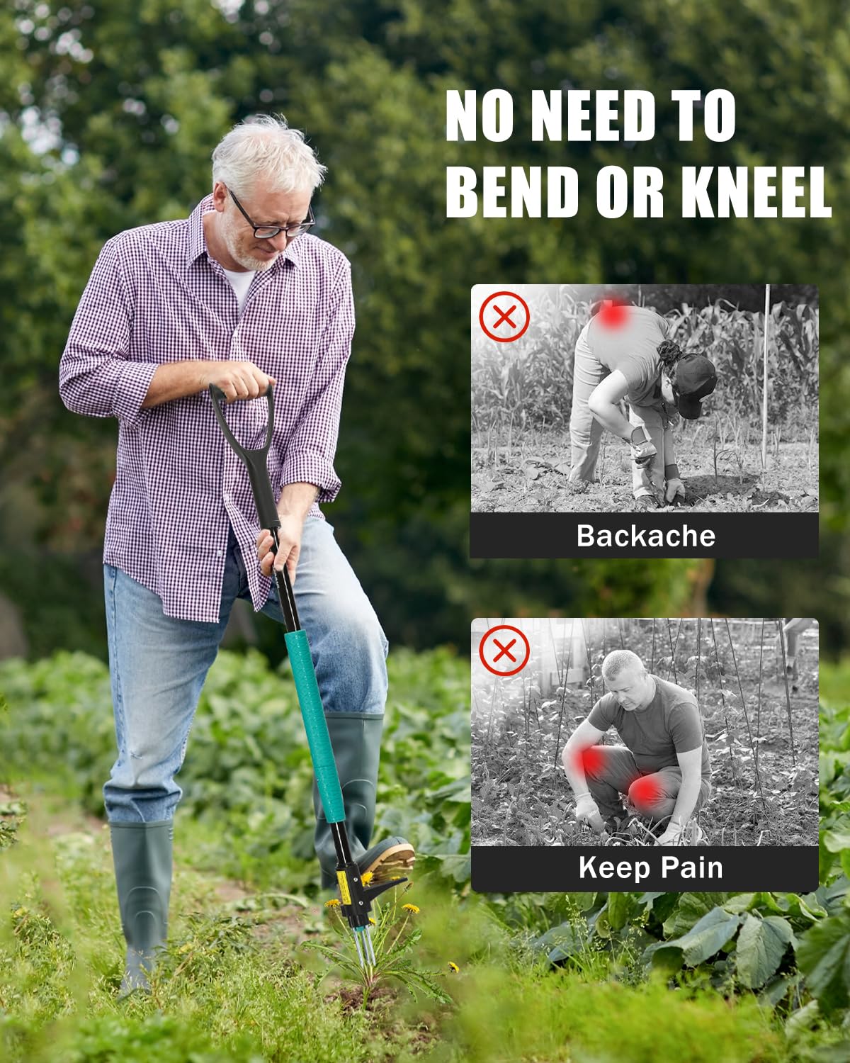 Breeze Touch Dandelion and Crabgrass Removal highlights root lifting.