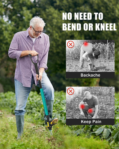 Breeze Touch Dandelion and Crabgrass Removal highlights root lifting.