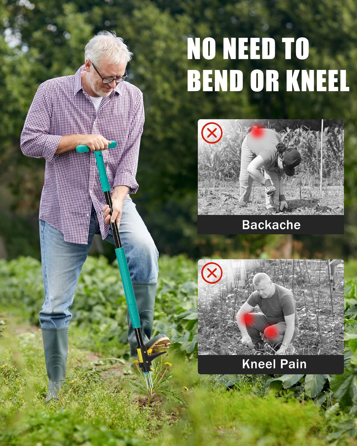 Breeze Touch dandelion removal in action emphasizes root extraction capability.